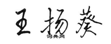 骆恒光王扬葵行书个性签名怎么写