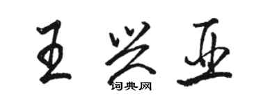 骆恒光王兴亚行书个性签名怎么写
