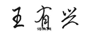 骆恒光王有兴行书个性签名怎么写