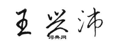 骆恒光王兴沛行书个性签名怎么写