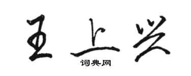 骆恒光王上兴行书个性签名怎么写