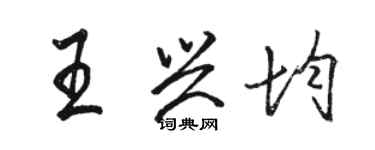 骆恒光王兴均行书个性签名怎么写