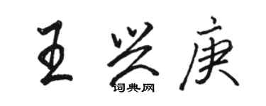 骆恒光王兴庚行书个性签名怎么写
