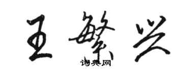 骆恒光王繁兴行书个性签名怎么写