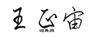 骆恒光王正宙行书个性签名怎么写