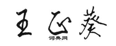 骆恒光王正葵行书个性签名怎么写