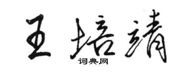 骆恒光王培靖行书个性签名怎么写