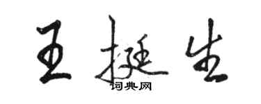 骆恒光王挺生行书个性签名怎么写