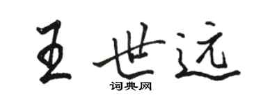 骆恒光王世远行书个性签名怎么写