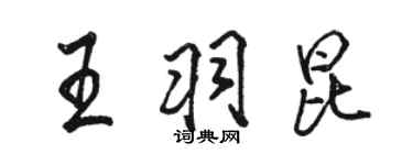 骆恒光王羽昆行书个性签名怎么写