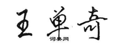 骆恒光王单奇行书个性签名怎么写