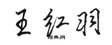骆恒光王红羽行书个性签名怎么写