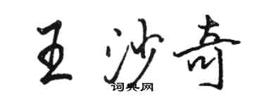 骆恒光王沙奇行书个性签名怎么写