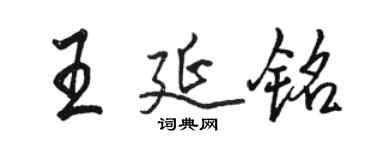 骆恒光王延铭行书个性签名怎么写