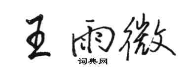 骆恒光王雨微行书个性签名怎么写