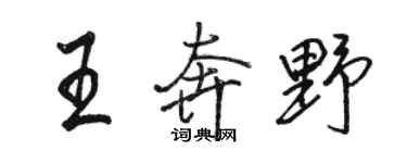 骆恒光王奔野行书个性签名怎么写