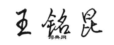 骆恒光王铭昆行书个性签名怎么写