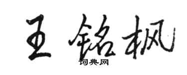 骆恒光王铭枫行书个性签名怎么写