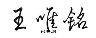 骆恒光王唯铭行书个性签名怎么写
