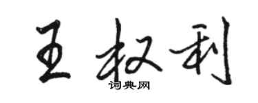 骆恒光王权利行书个性签名怎么写