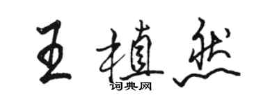骆恒光王植然行书个性签名怎么写