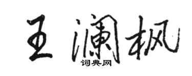 骆恒光王澜枫行书个性签名怎么写