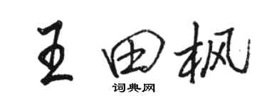 骆恒光王田枫行书个性签名怎么写