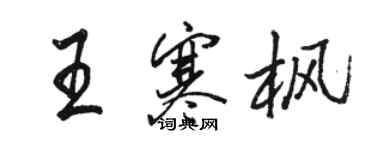 骆恒光王寒枫行书个性签名怎么写