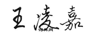 骆恒光王凌嘉行书个性签名怎么写
