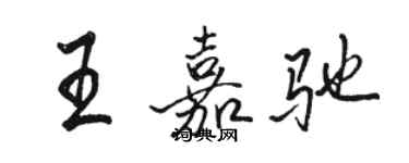 骆恒光王嘉驰行书个性签名怎么写