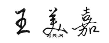 骆恒光王美嘉行书个性签名怎么写