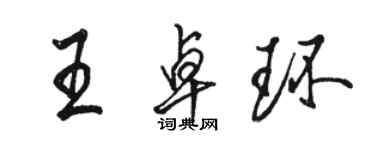 骆恒光王卓环行书个性签名怎么写