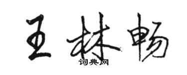 骆恒光王林畅行书个性签名怎么写