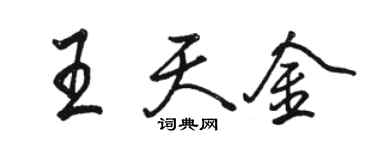 骆恒光王天金行书个性签名怎么写