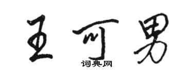 骆恒光王可男行书个性签名怎么写