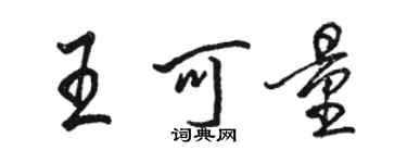 骆恒光王可量行书个性签名怎么写
