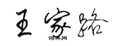 骆恒光王家路行书个性签名怎么写