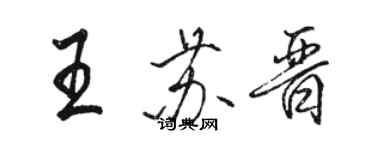 骆恒光王苏晋行书个性签名怎么写