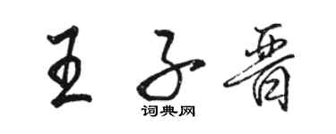 骆恒光王子晋行书个性签名怎么写