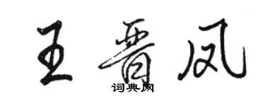 骆恒光王晋凤行书个性签名怎么写