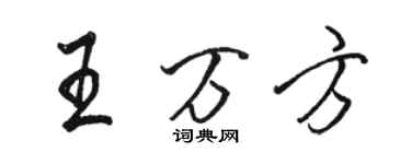 骆恒光王万方行书个性签名怎么写