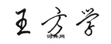 骆恒光王方学行书个性签名怎么写