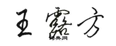 骆恒光王露方行书个性签名怎么写