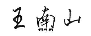 骆恒光王南山行书个性签名怎么写