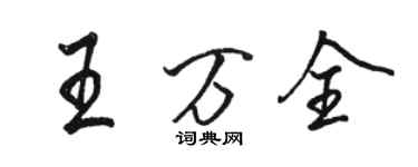 骆恒光王万全行书个性签名怎么写