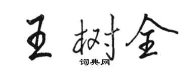 骆恒光王树全行书个性签名怎么写