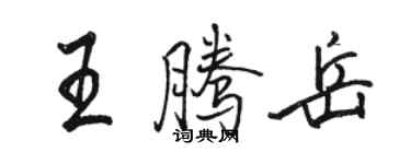 骆恒光王腾岳行书个性签名怎么写