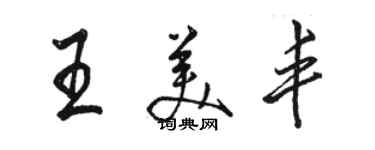 骆恒光王美丰行书个性签名怎么写