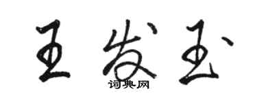 骆恒光王发玉行书个性签名怎么写