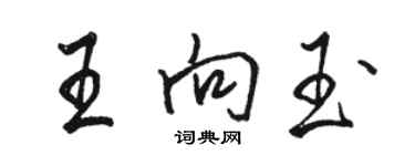 骆恒光王向玉行书个性签名怎么写